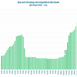 Retail Giant Set to Launch in Hanoi with Two New Supermarkets Opening Daily