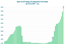 Retail Giant Set to Launch in Hanoi with Two New Supermarkets Opening Daily