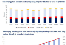 Top Fertilizer Companies Poised for Double-Digit Growth by 2026: Securities Firms Predict