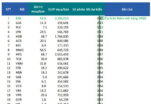 “Oil and Gas Tycoon Poised to Enter VN30 Index in January Review”