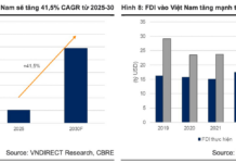 Unleashing Growth: The 3 Driving Forces Behind Digiworld’s Success