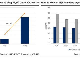 Unleashing Growth: The 3 Driving Forces Behind Digiworld’s Success