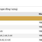 December 5th: Gold Bar Prices Surge by Up to 1.1 Million VND/Tael at SJC, DOJI, PNJ, Phu Quy, and More
