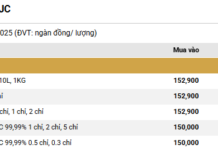 December 5th: Gold Bar Prices Surge by Up to 1.1 Million VND/Tael at SJC, DOJI, PNJ, Phu Quy, and More