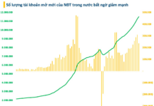 New Stock Account Openings Hit Four-Month Low