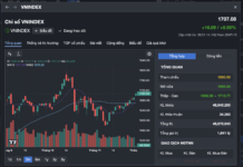 VN-Index Surges Past 1,700 Points