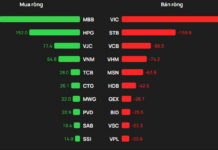 Foreign Investors Net Sell Nearly VND 400 Billion in Vietnamese Stocks on December 10th: Which Stocks Were Targeted?