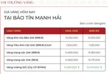 December 10th: Gold Bar Prices Surge by VND 1 Million per Tael, SJC Increases Ring Gold Rates