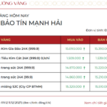 December 11: Gold Bar Prices Drop, Bao Tin Minh Chau and Bao Tin Manh Hai Raise Ring Gold Prices