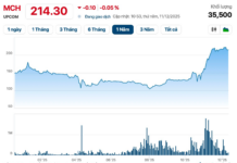 Billion-Dollar Enterprise Surpassing Hoa Phat, Vinamilk, MB in Market Cap Set to List on HoSE