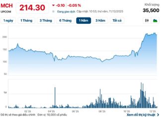 Billion-Dollar Enterprise Surpassing Hoa Phat, Vinamilk, MB in Market Cap Set to List on HoSE