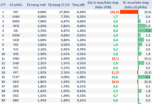 Foreign ETF Fund with $630 Million AUM Adds TCX, Anticipates Heavy Selling of VIC