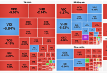 Vietnam Stock Market Plunges 52 Points on December 12: Experts Explain the Reasons Behind the Sell-Off