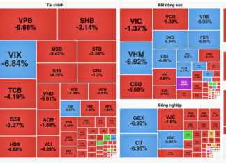 Vietnam Stock Market Plunges 52 Points on December 12: Experts Explain the Reasons Behind the Sell-Off