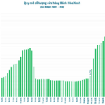 Green Grocery’s Rapid Expansion: Over 150 New Stores in Six Weeks – Has Nguyen Duc Tai Cracked the Code for Northern Market Domination?