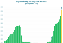 Green Grocery’s Rapid Expansion: Over 150 New Stores in Six Weeks – Has Nguyen Duc Tai Cracked the Code for Northern Market Domination?