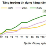 Unveiling New Investment Opportunities: Brokerages Highlight Profitable Sectors in the Stock Market