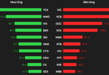 Foreign Block “U-Turn” Sells Off as VN-Index Surges, Countering Massive Inflow into Single Stock