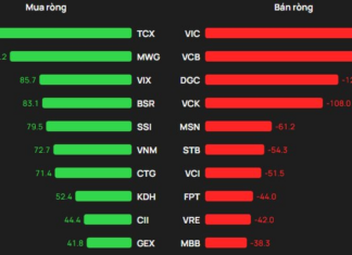 Foreign Block “U-Turn” Sells Off as VN-Index Surges, Countering Massive Inflow into Single Stock