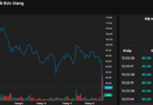 Dragon Capital Exits Major Stake in Duc Giang Chemicals Ahead of Stock Plunge