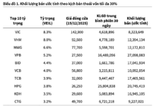 Dragon Capital Faces Pressure to Liquidate Up to $500 Million in Assets Amid Shareholder Exit Demands