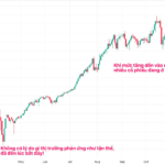 Two “Bottom Calls” by Mr. Nguyen Duy Hung in 2025