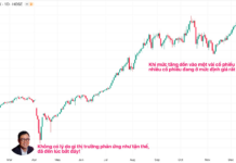 Two “Bottom Calls” by Mr. Nguyen Duy Hung in 2025