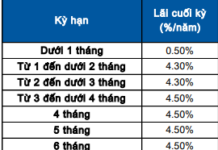 Sacombank Interest Rates December 2025: Continued Rise, 18-Month Online Deposits Offer Highest Returns