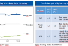 Shinhan Bank: Despite Pressure, VND Poised for Recovery Through Prudent Management