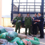 Unveiling the Hidden Secrets Within 40 Burlap Sacks in a Roadside Parked Car