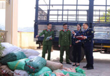 Unveiling the Hidden Secrets Within 40 Burlap Sacks in a Roadside Parked Car