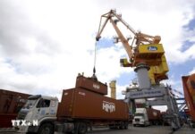 Vietnam 2025: Rising Spectacularly Amid Challenges