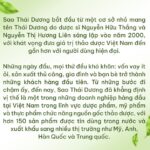 Unlocking Global Success: How Everyday Ingredients Become Vietnam’s Business Treasure Trove