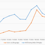 Is the CW Segment Helping Securities Companies Reap Profits?