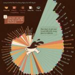 Unveiling the World’s Top Coffee-Consuming Nation: It’s Not Vietnam!