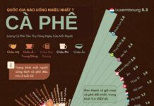 Unveiling the World’s Top Coffee-Consuming Nation: It’s Not Vietnam!