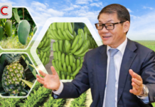 Billionaire Trần Bá Dương Reveals 10-Year Banana Deal with Fresh Del Monte: “We Faced $1 Penalty per Box (13 kg) for Quality Below 90% Standard”