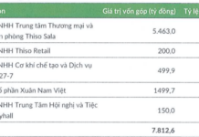 Tran Ba Duong’s THISO Raises Trillions of Dong in Bonds for Project Acquisition