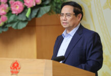 Over 300,000 New Businesses Established and Reactivated in 2025