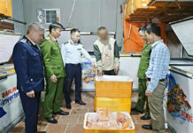 Unveiling a Shocking Discovery: 700kg of Illicit Pork and Unhatched Eggs Seized in Bac Ninh Before Reaching Local Restaurants