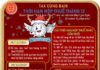 Breaking News: Ho Chi Minh City Tax Department Issues Urgent Update
