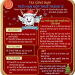 Breaking News: Ho Chi Minh City Tax Department Issues Urgent Update