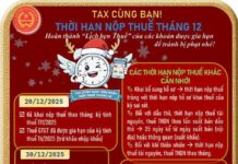 Breaking News: Ho Chi Minh City Tax Department Issues Urgent Update