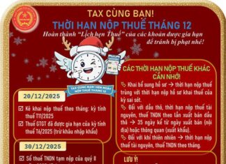 Breaking News: Ho Chi Minh City Tax Department Issues Urgent Update