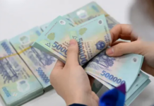 Year-End Sprint: Businesses Strategize Lunar New Year Bonuses