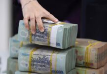 Critical Policies on SALARIES, TAX REDUCTIONS, LAND PRICE TABLES… Effective from January 1, 2026