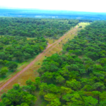 Greenlight for Billion-Dollar Golf Course Investment in Gia Lai