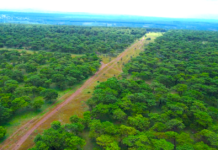 Greenlight for Billion-Dollar Golf Course Investment in Gia Lai