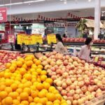 OECD Forecasts Sustained Economic Recovery for Vietnam in 2026-2027