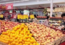 OECD Forecasts Sustained Economic Recovery for Vietnam in 2026-2027